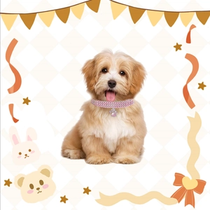 Close-up of pink rhinestone pet collar with paw pendant on small dog model