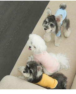 Close-up of ribbed dog t-shirts in blue, pink, and yellow with white piped edges
