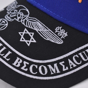 Gros plan de la visière d'une casquette avec broderie détaillée d'ailes et de crâne