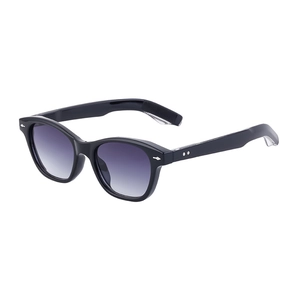 Classic black thick frame sunglasses with purple gradient lenses and silver metal rivets