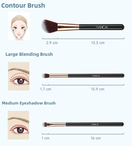 Detailed view of makeup brushes with dual-color bristles and specific size dimensions