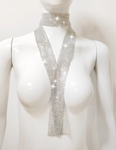 Detailed view of silver mesh rhinestone choker and long tie necklace on a mannequin