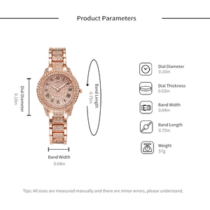 Detailed product parameters of rose gold iced-out roman numeral watch with crystal diamonds