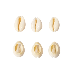 Set of 6 natural cowrie shell beads for DIY jewelry making on white background