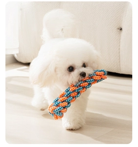 Close-up of a Bichon puppy playing with a durable orange and blue woven cotton rope toy