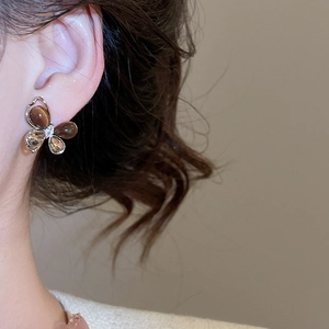 Gros plan de boucles d'oreilles papillon en argent avec pierres marron sur l'oreille