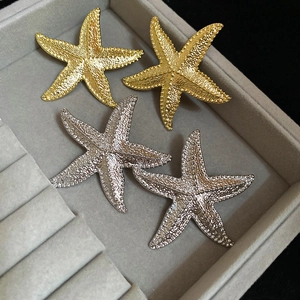Dettaglio macro di orecchini a forma di stella marina color oro e argento nel cofanetto