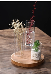 Macro detail of transparent glass cylinders showing hydroponic plants and dried flower decor
