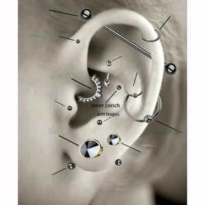 Guide for stainless steel ear piercings showing industrial, helix, and tragus placements