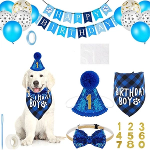 Blue dog birthday party kit including sequined hat, bandana, bow tie, and balloons set