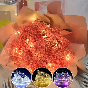 Flexible LED copper wire string lights for decor shown in warm white and multicolored options