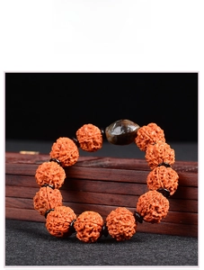 Macro shot of 5-mukhi Rudraksha beads bracelet with brown agate and wood texture