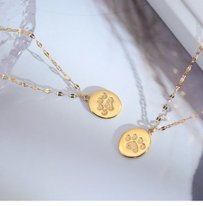 Detailed shot of golden oval pendant with paw print on reflective sequin chain