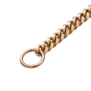 Detail of 10mm golden stainless steel Cuban link dog collar with round metal rings