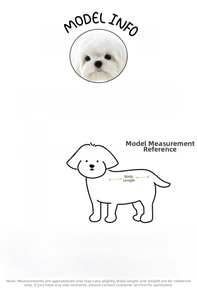 Detailed size guide for summer pet carrier showing S and M dimensions and dog measurements