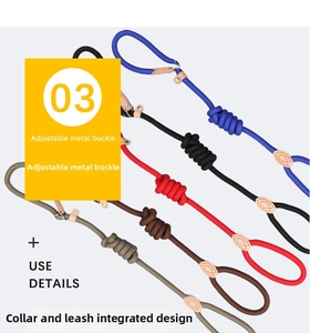 Detail of multi-color dog training P-leash showing adjustable metal buckle and leather joint