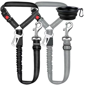 Détail de ceintures de sécurité pour chien en nylon avec un bol pliable pour voyage animal