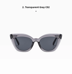 Front detail of trendy cat eye sunglasses with transparent grey frames and metal studs