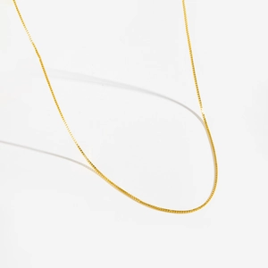 Detailed view of elegant gold box chain necklace with delicate links on white background