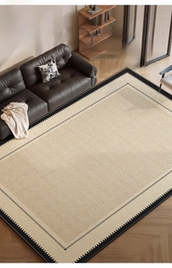 Detailed top view of a beige woven rug with black borders in a modern living room