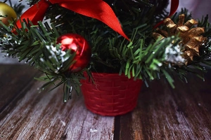 Close-up of mini Christmas tree with red ribbons, gold pinecones in red woven pot