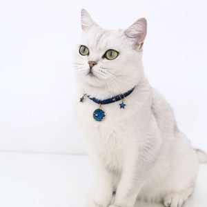 Close-up of navy velvet pet collar with gold moon and star charms on a white cat