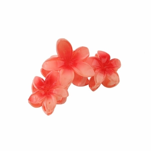 Detail van drie roze gradiënt frangipani-bloemen op een hars haarklem voor dames