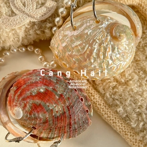 Macro detail of natural abalone shell notepad with metallic binder ring on knit fabric
