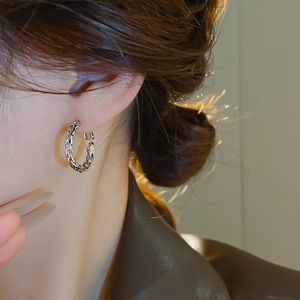 Close-up of twisted silver hoop earrings worn by a model in warm natural light