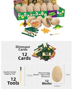 Macro view of dinosaur egg excavation set with 12 gypsum eggs, tools and learning cards