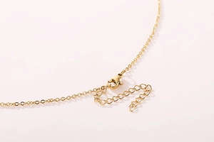 Detail of gold-plated necklace showing lobster clasp and adjustable extension chain link