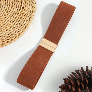 Close-up of brown elastic waist belt with a polished gold metal rectangular buckle