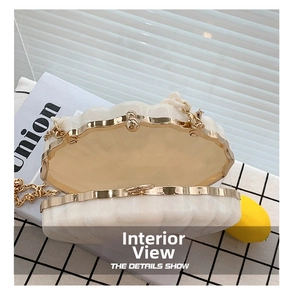 Detail of pearlescent white shell clutch with gold metal frame and interior lining