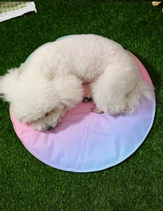 Esterilla refrescante arcoíris para perros blancos en césped, diseño redondo de verano