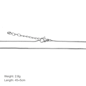 Silver box chain detail showing lobster clasp and 45+5cm adjustable length extension