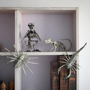 Halloween decorative animal skeletons featuring crow, rat, spider, and scorpion on a bookshelf