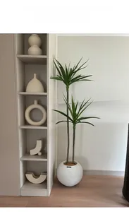 Détail de vases géométriques en céramique blanche mate avec un pot de fleurs gris texturé