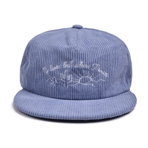 Detail of cactus embroidery and textured corduroy on a blue flat brim baseball cap