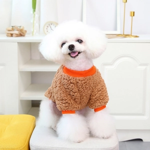 Close-up of brown pet fleece sweater with orange collar showing warm lambswool texture