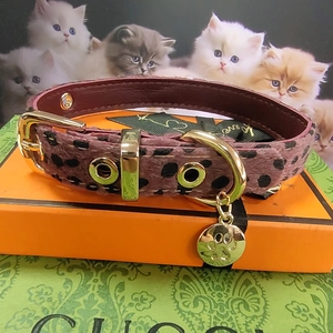 Detail of leopard print pet collar with golden hardware and paw pendant on the leather