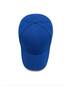 Top down view of a royal blue pineapple fabric baseball cap showing stitched six-panel design