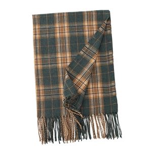Classic green and beige plaid cashmere-feel scarf with fringe tassels on white background