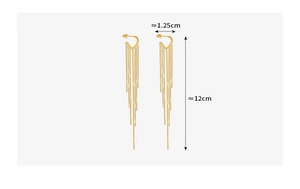 Detail view of long gold tassel earrings showing precise 12cm length and 1.25cm width dimensions