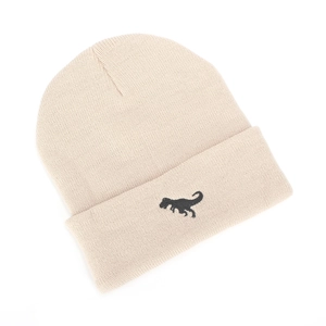 Kids warm beige knit beanie with embroidered T-Rex dinosaur and foldable cuff for winter