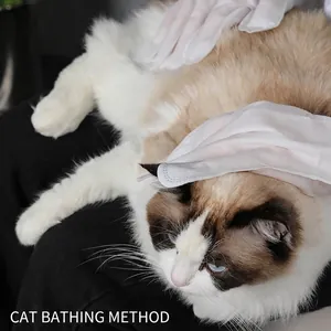 Disposable grooming gloves for cats and dogs, waterless cleaning wipes for pet bath SPA