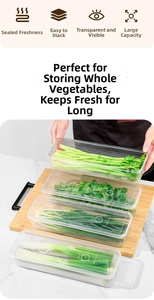 Transparent long storage box for fresh vegetables in refrigerator food organization