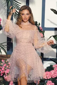 Macro view of sheer pink polka dot mesh dress with elegant lantern sleeves and lace detail