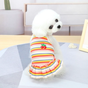 Close-up of dog dress with colorful stripes and red cherry embroidery on ruffles