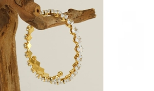 Detail of gold titanium steel bangle with cubic zirconia on natural wood branch