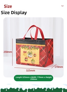 Plaid Christmas gift bag size guide showing 325x170x250mm dimensions and festive design